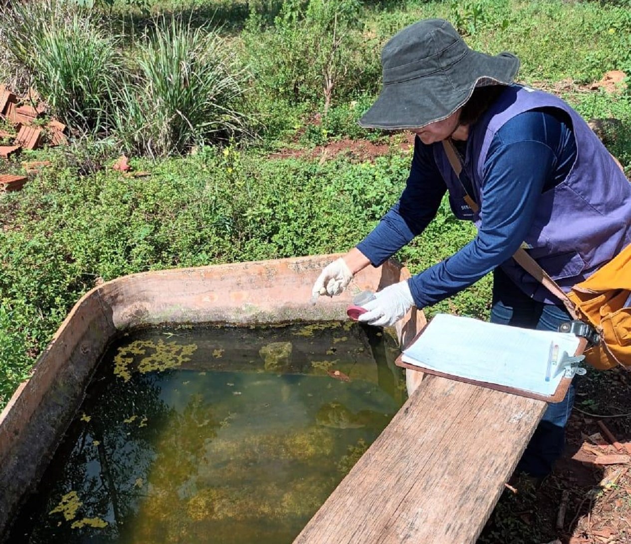 Dourados registra quarta morte por chikungunya nas aldeias e alerta para o avanço da doença