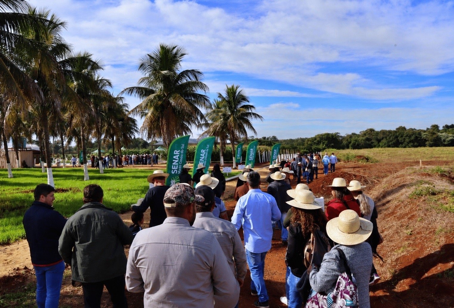 Projeto Fazendinha reúne mais de 200 produtoresem busca de novas tecnologias para horticultura