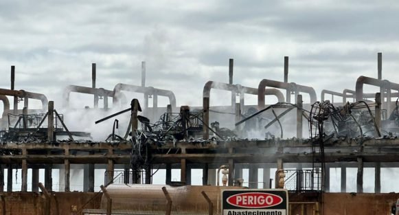 WhatsApp Image 2026-01-20 at 11.22.28